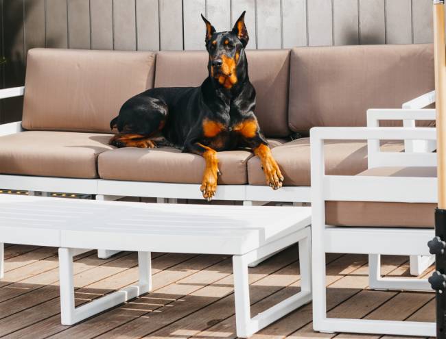 Комплект пластиковой мебели Mykonos XL белый, светло-коричневый Комплект пластиковой мебели Mykonos XL белый, светло-коричневый