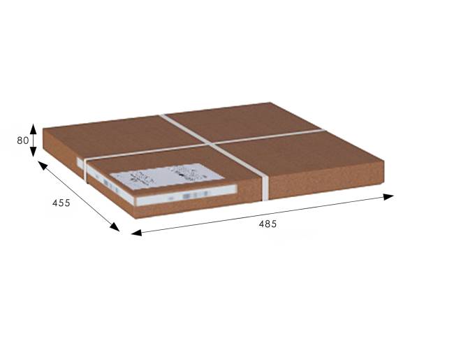 Лесенка-стремянка снег